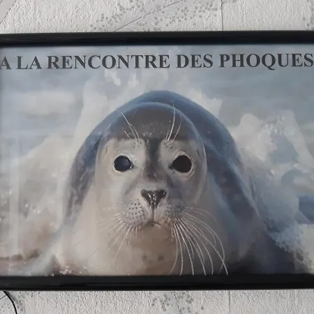 Le Voyageur Appartement